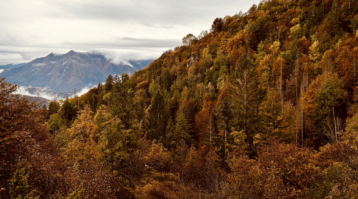 Ecomuseo di Valle Trompia